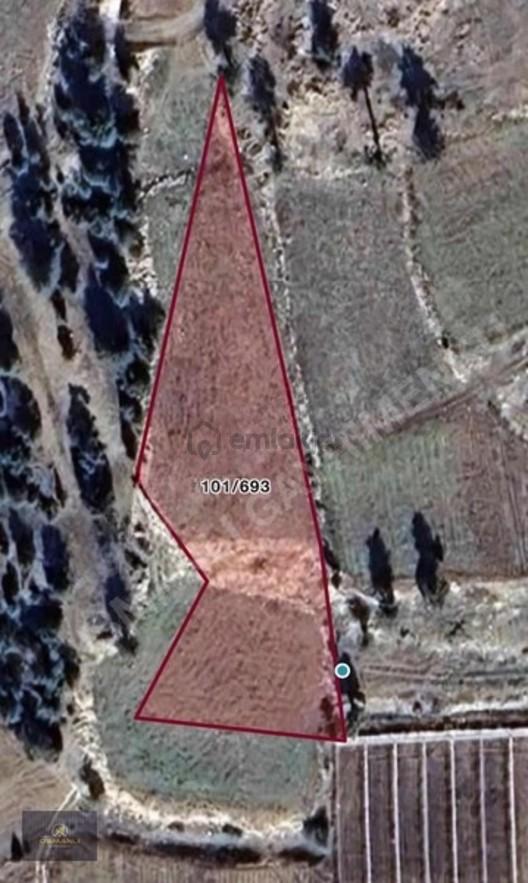 Sarıkaya 2640m2 Müstakil Tapulu - 18