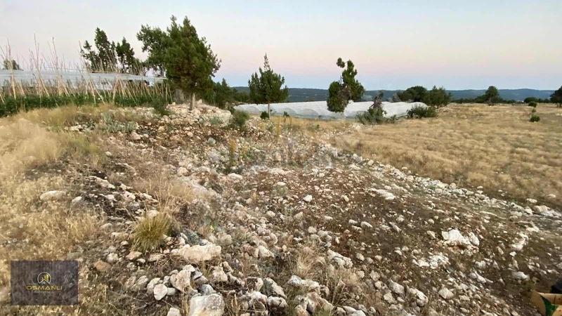 Sarıkaya 2640m2 Müstakil Tapulu - 10