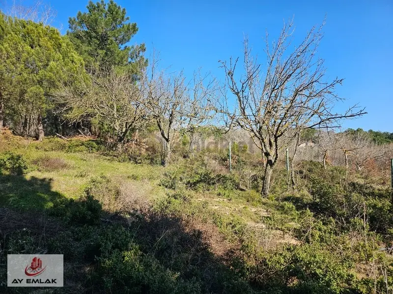 Armutlu Mecidiyeköy'de 675m² İmarlı Arsa - Denize Yakın - 16