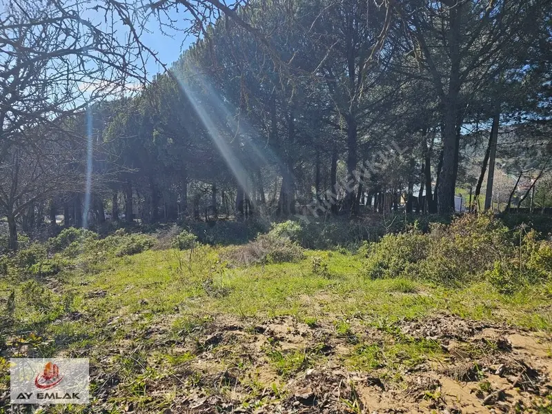 Armutlu Mecidiyeköy'de 675m² İmarlı Arsa - Denize Yakın - 14