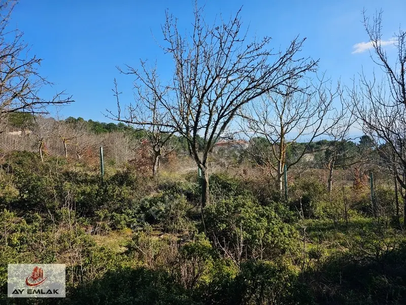 Armutlu Mecidiyeköy'de 675m² İmarlı Arsa - Denize Yakın - 17