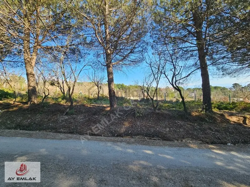 Armutlu Mecidiyeköy'de 675m² İmarlı Arsa - Denize Yakın - 20