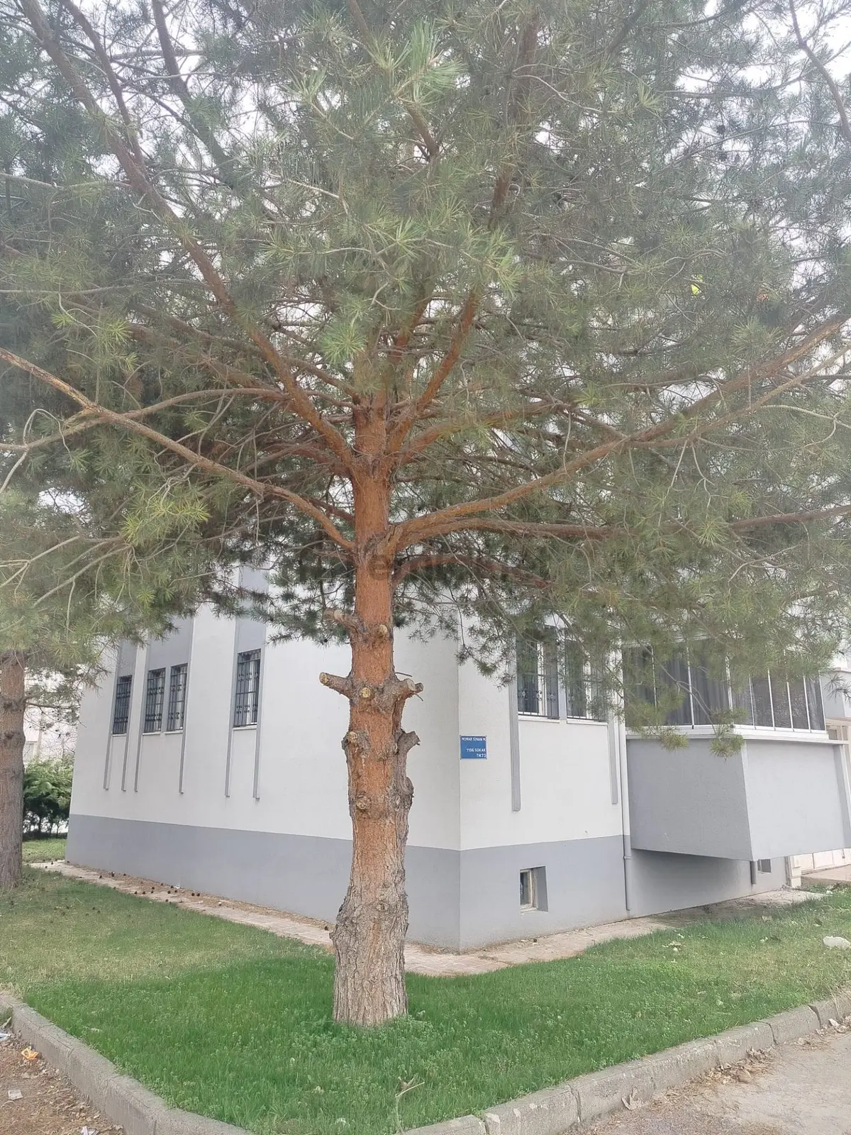 Sahibinden Temiz Bakımlı Daire - 5