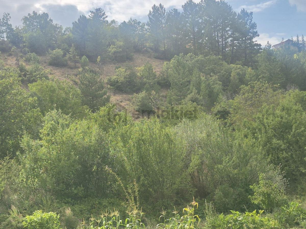 Konya Beyşehir Üzümlü De Satılık Tarla - 4