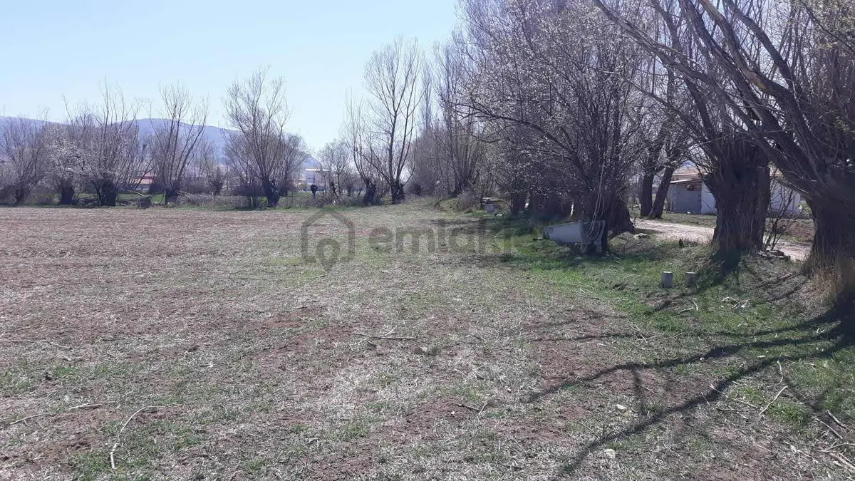 Satılık 5 Parsel Villalık Arsalar - 8