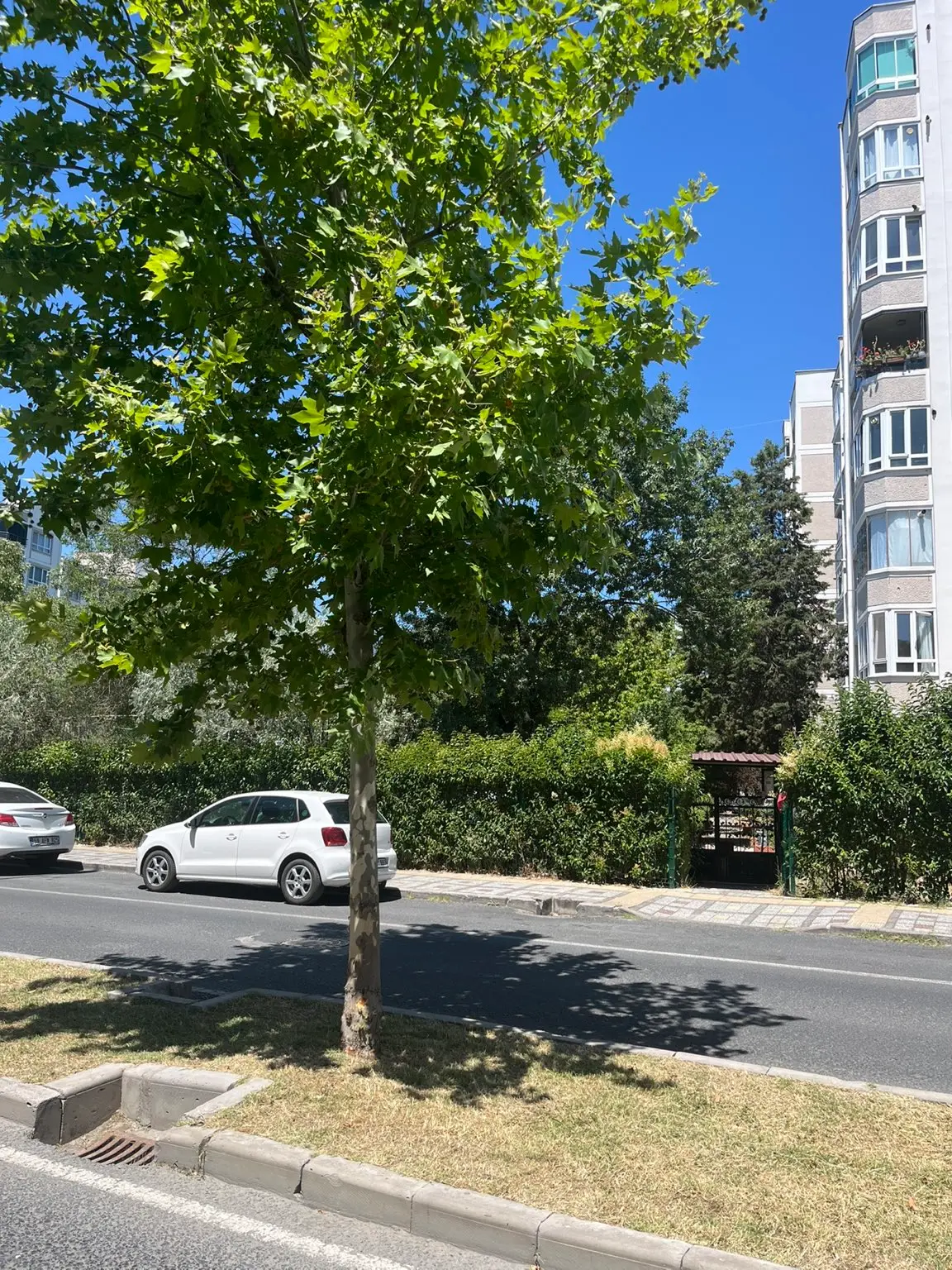Ncs Emlaktan Kapaklıda Kiralık Daire - 14