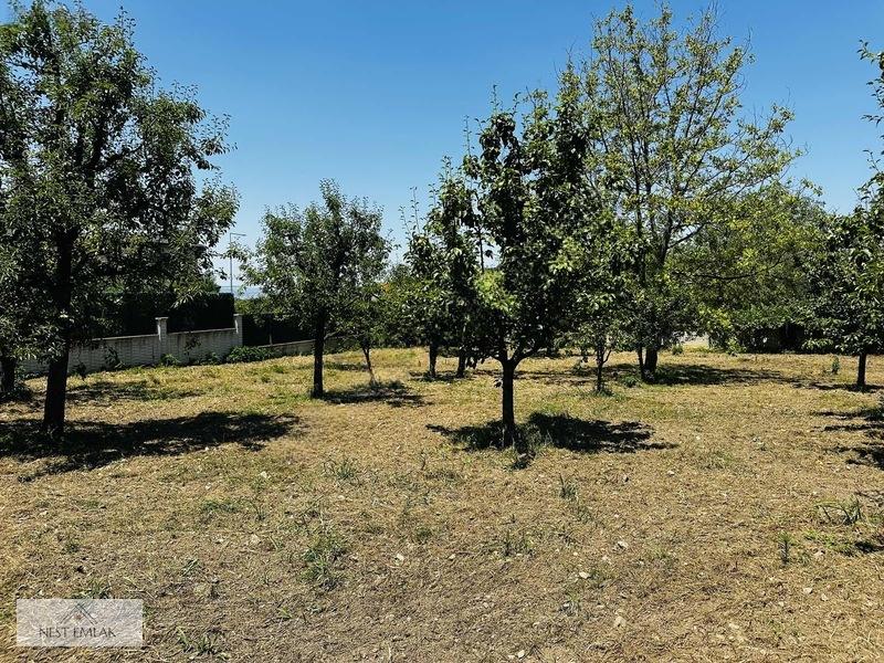 2461 M2 Arsa İçinde Müstakil Villa - 27