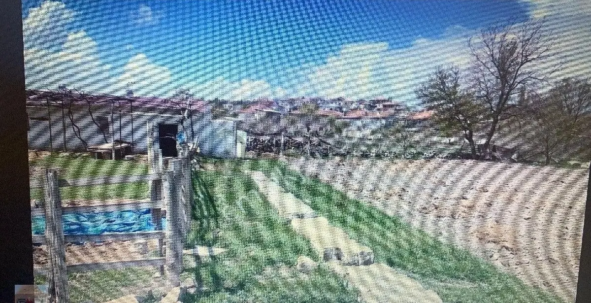 Kayseri Mahzeminde İşletme Ruhsatlı Çiftlik - 12