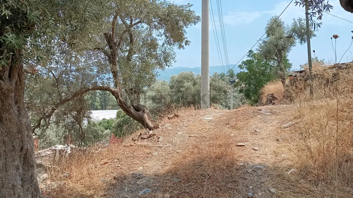 Milas, Karapınar, Kat Karşılığı Satılık 620 M2 Arsa - 5