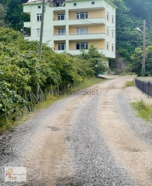Satılık 132 Dönüm Fındık Bahçesi - 9