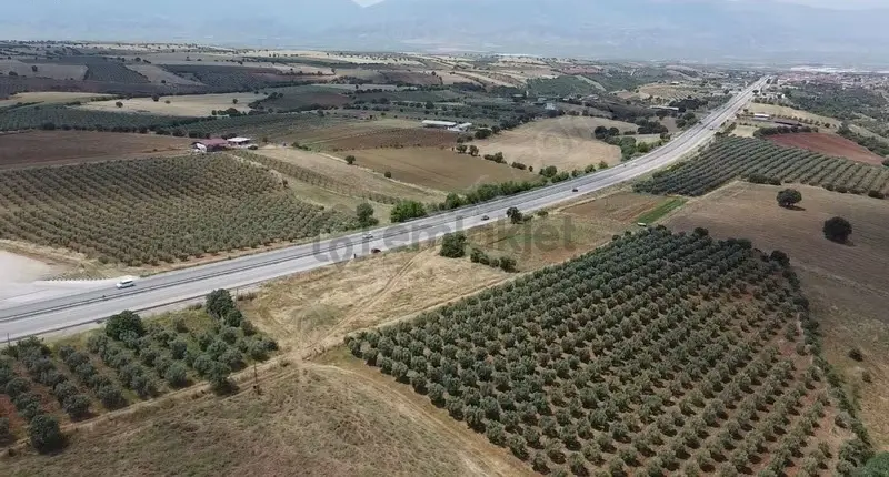 İzmir - Ankara Asfaltına Cepheli Satılık Tarla - 8