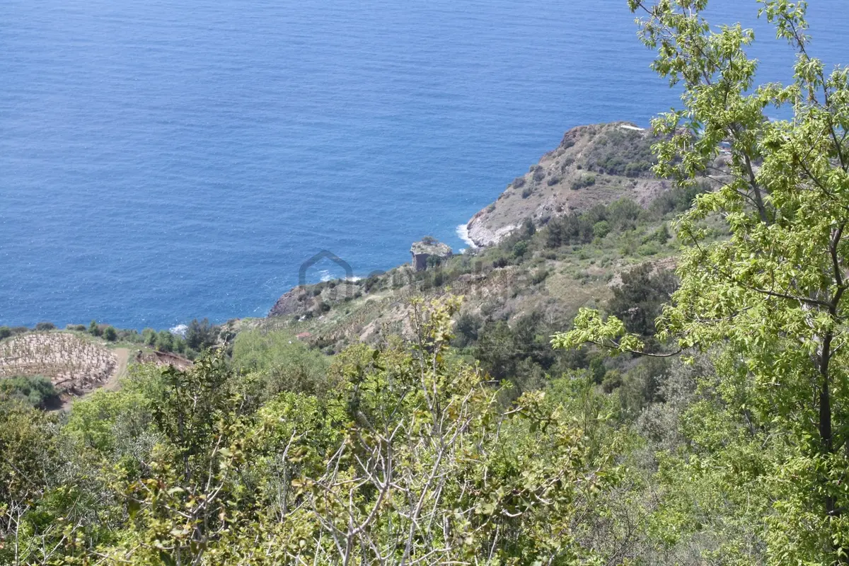 Deniz Manzaralı Satılık Tarla, 457 M2 Zeytinada - 12