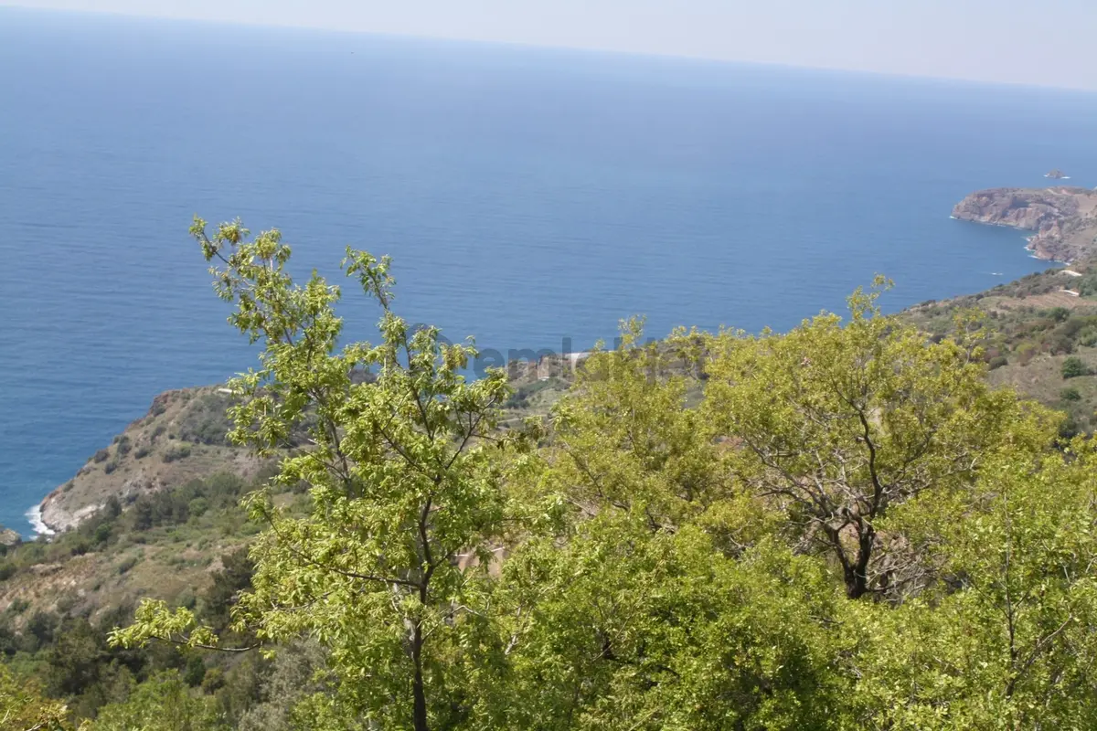 Deniz Manzaralı Satılık Tarla, 457 M2 Zeytinada - 2