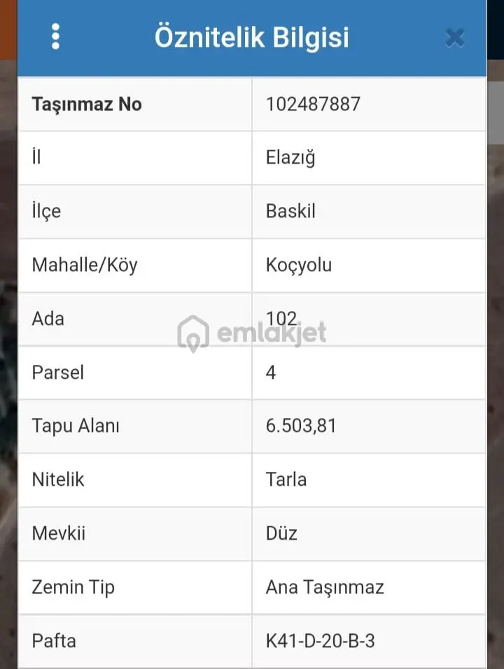 Elazığ Baskil Koçyolunda Satılık Tarla