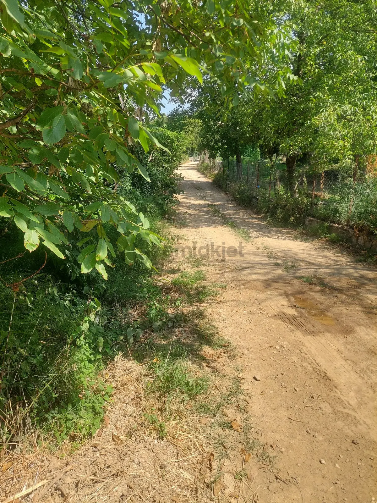 Kestel Osmaniyede - 5