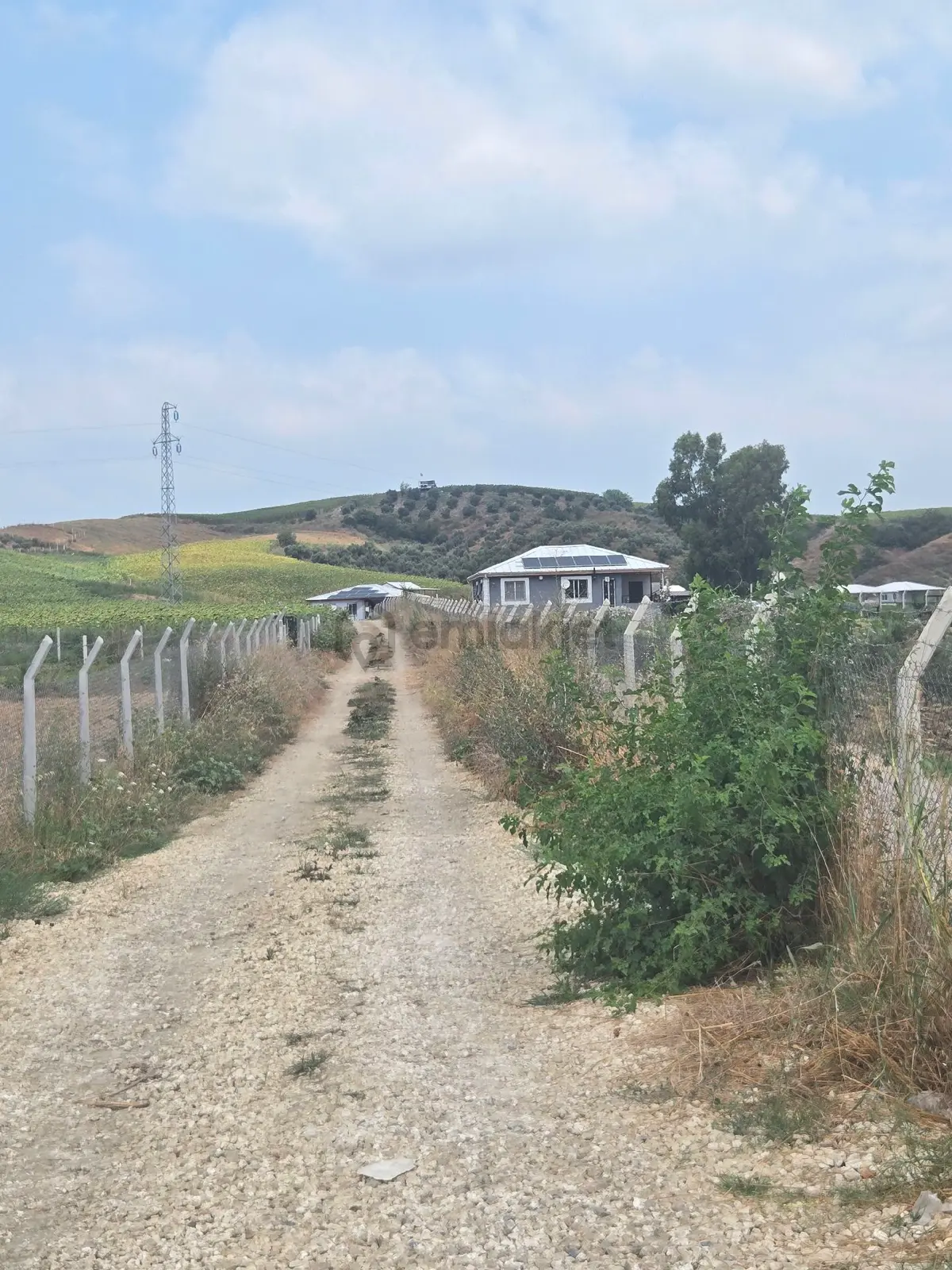Vesile'den Suyu Çekili 340 M² - 11