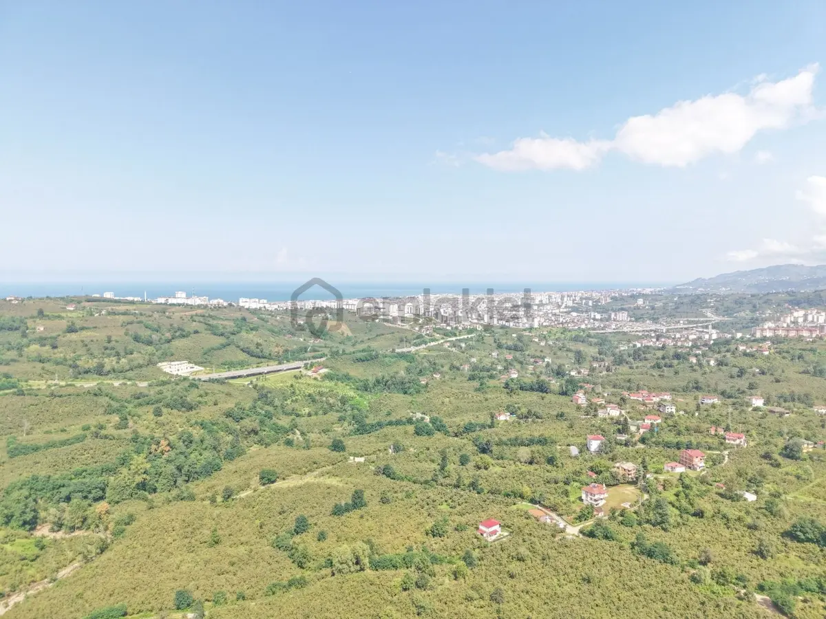 Ordu Karacaömer Mahallesi Satılık Fındık Bahçesi... - 17