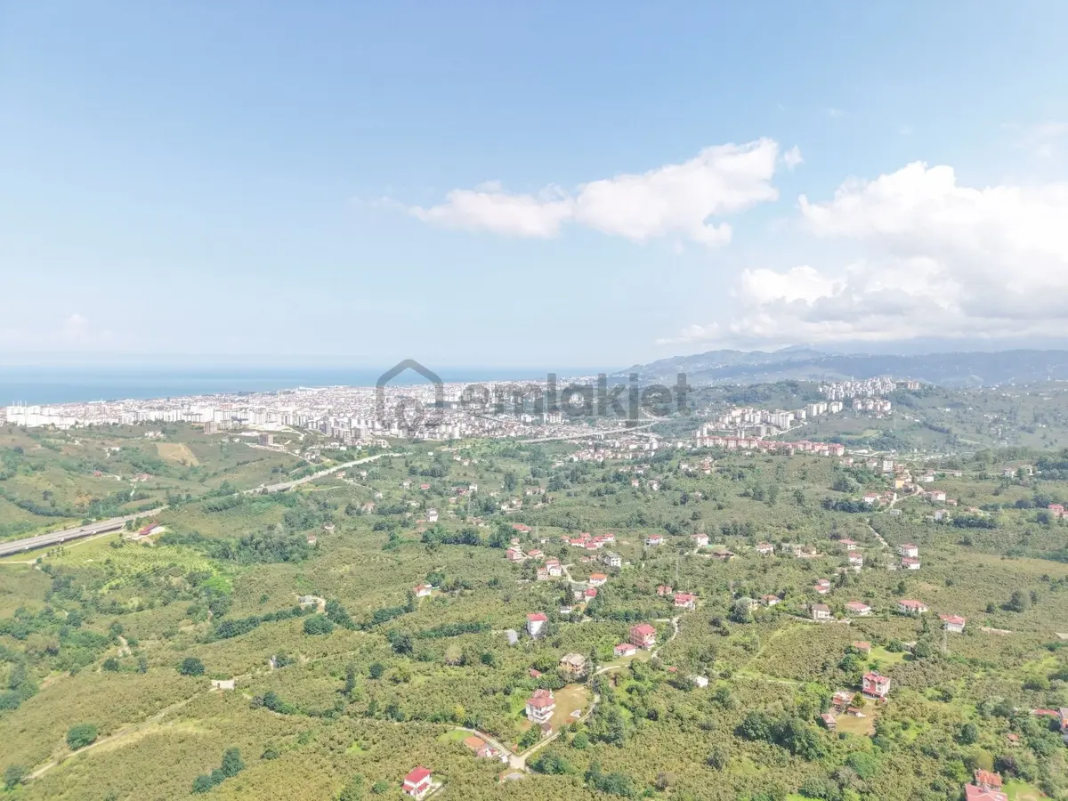 Ordu Karacaömer Mahallesi Satılık Fındık Bahçesi... - 18
