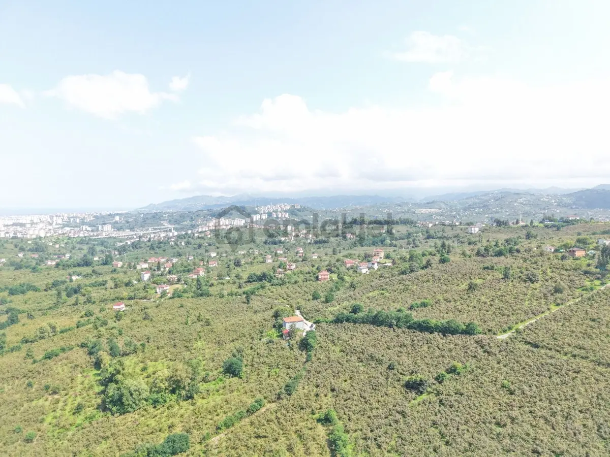 Ordu Karacaömer Mahallesi Satılık Fındık Bahçesi... - 13