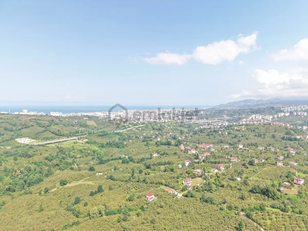 Ordu Karacaömer Mahallesi Satılık Fındık Bahçesi... - 7