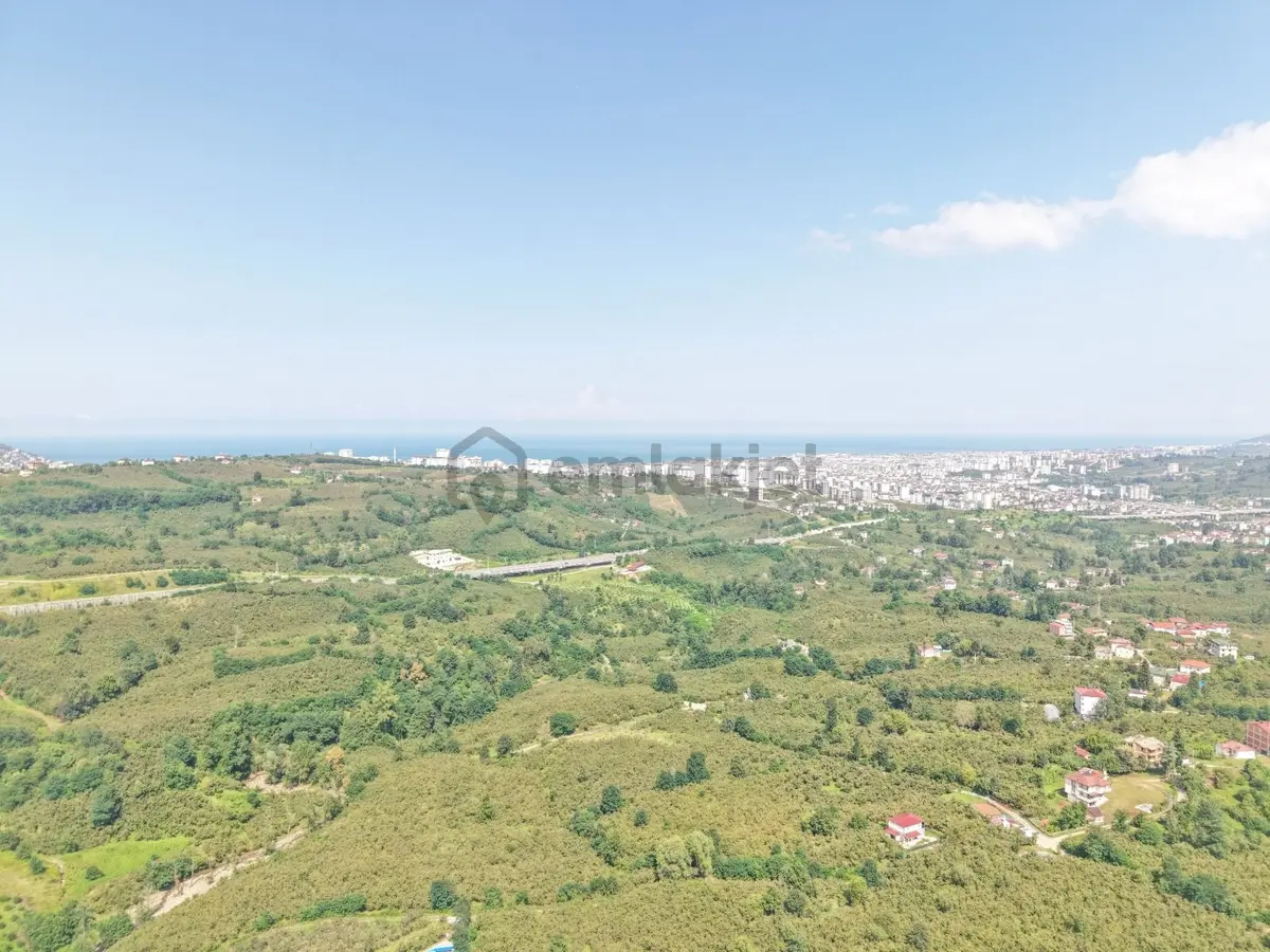 Ordu Karacaömer Mahallesi Satılık Fındık Bahçesi... - 6
