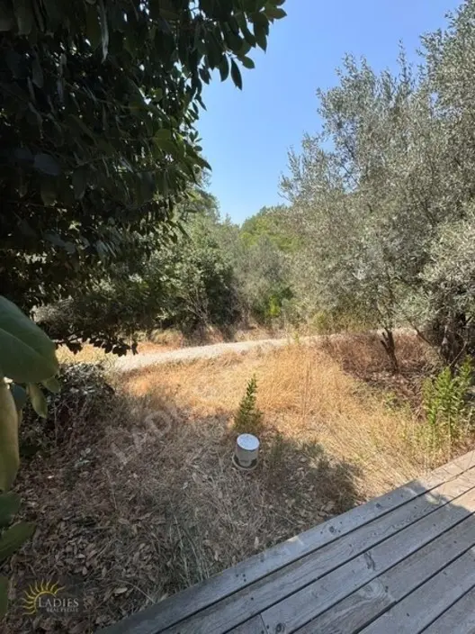 Göcek'e 10 Dakika Mesafede Havuzlu Tiny House 928m² Arsa Dahil - 6