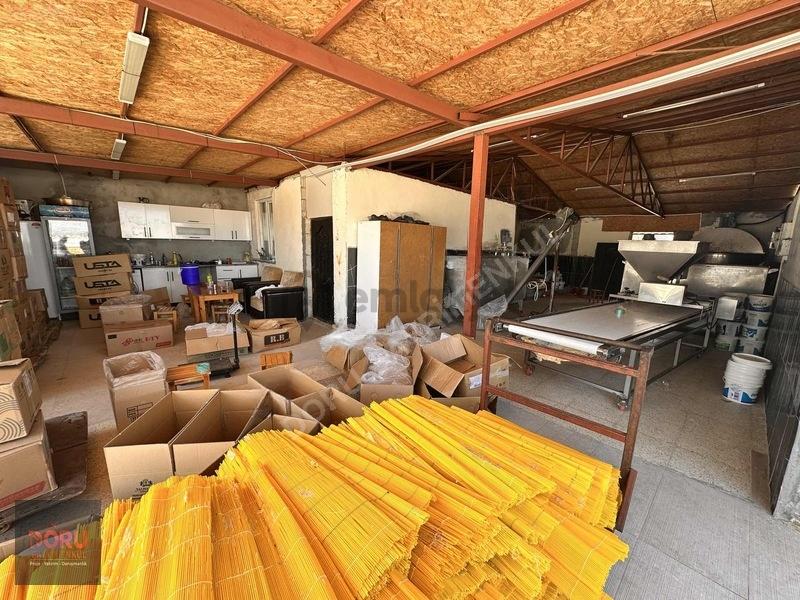 Doru'dan 1800 M2 Tarla Ve Hazır Kurulu Tarhana İmalathanesi - 17