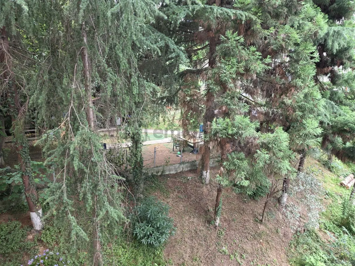 Trabzon 3 Nolu Erdoğdu Da Kiralık Daire - 29
