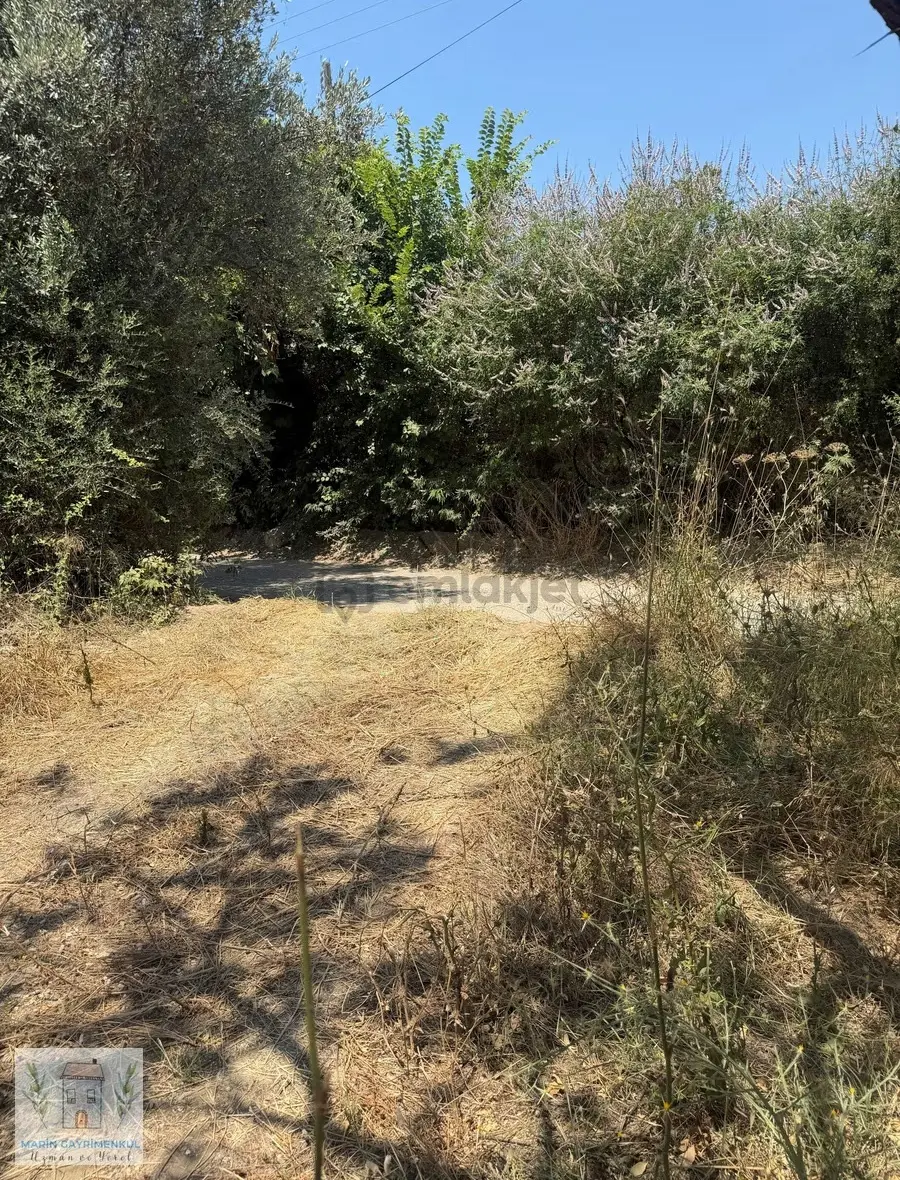 Reşadiye'de Satılık 3.361 M2 Yolu Olan Tarla - 15