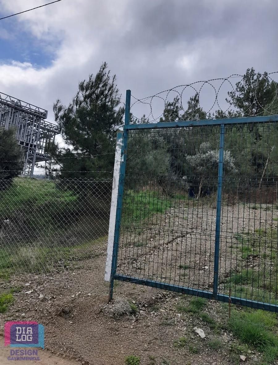 Kemalpaşa Ören'de Satılık Zeytinlik