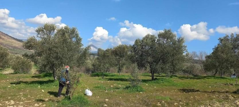 Bayat Mahallesi 3548m2 - 12