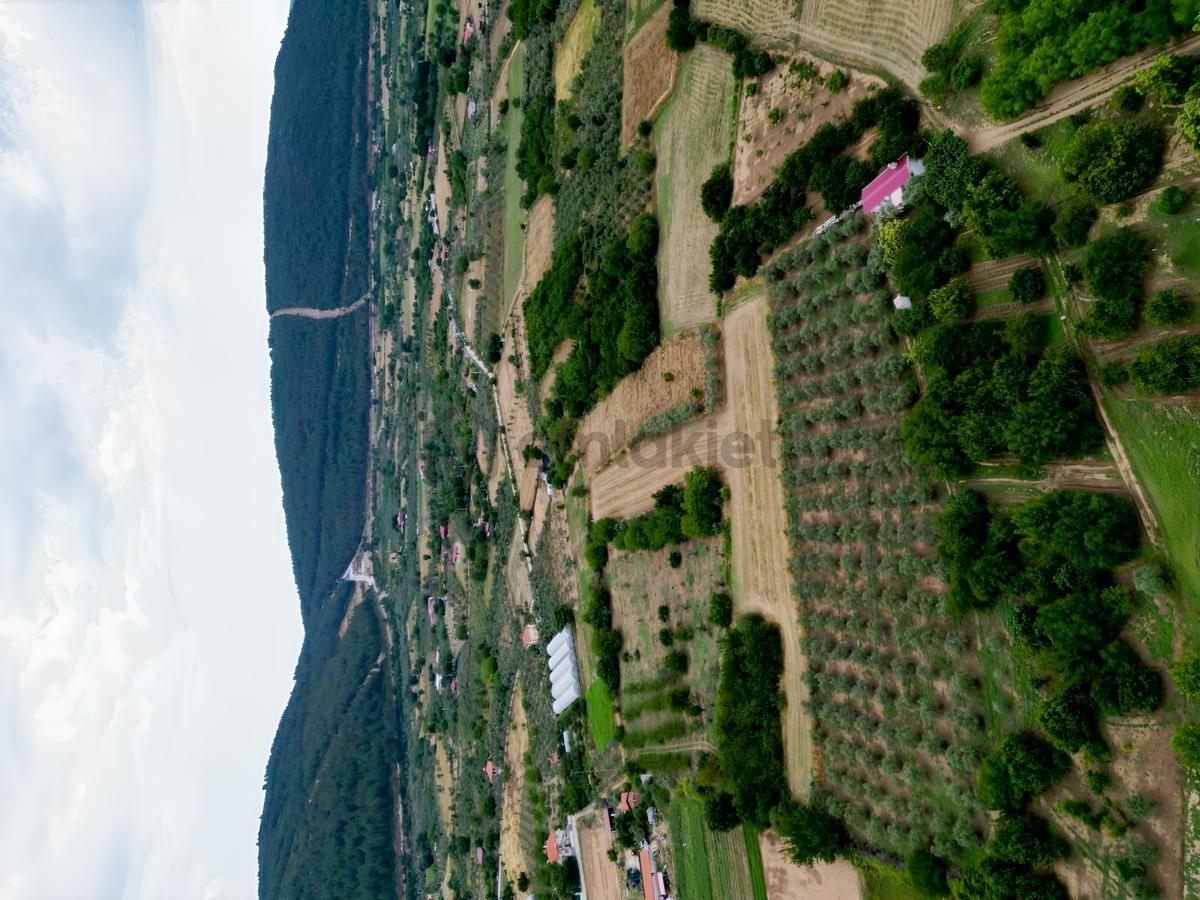 Muğla Ula'da Fırsat Tarla - 13