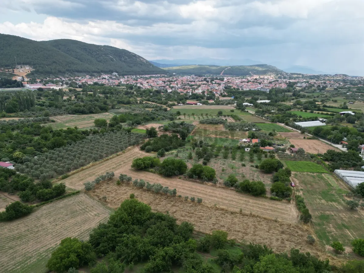 Muğla Ula'da Fırsat Tarla - 14