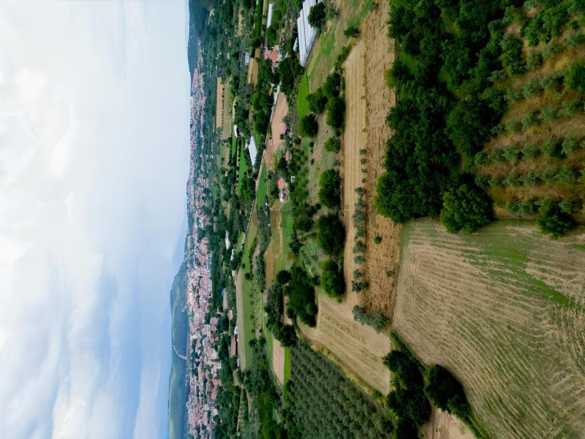 Muğla Ula'da Fırsat Tarla - 16