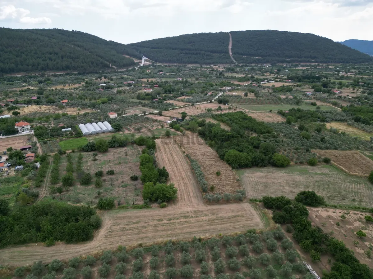 Muğla Ula'da Fırsat Tarla - 11