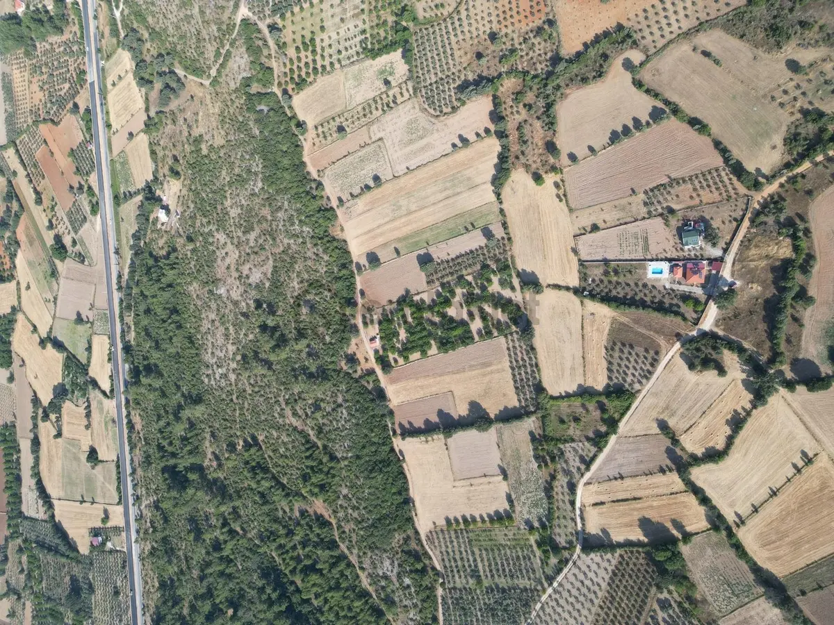Muğla Yaraş'ta Satılık Fırsat Tarla - 3