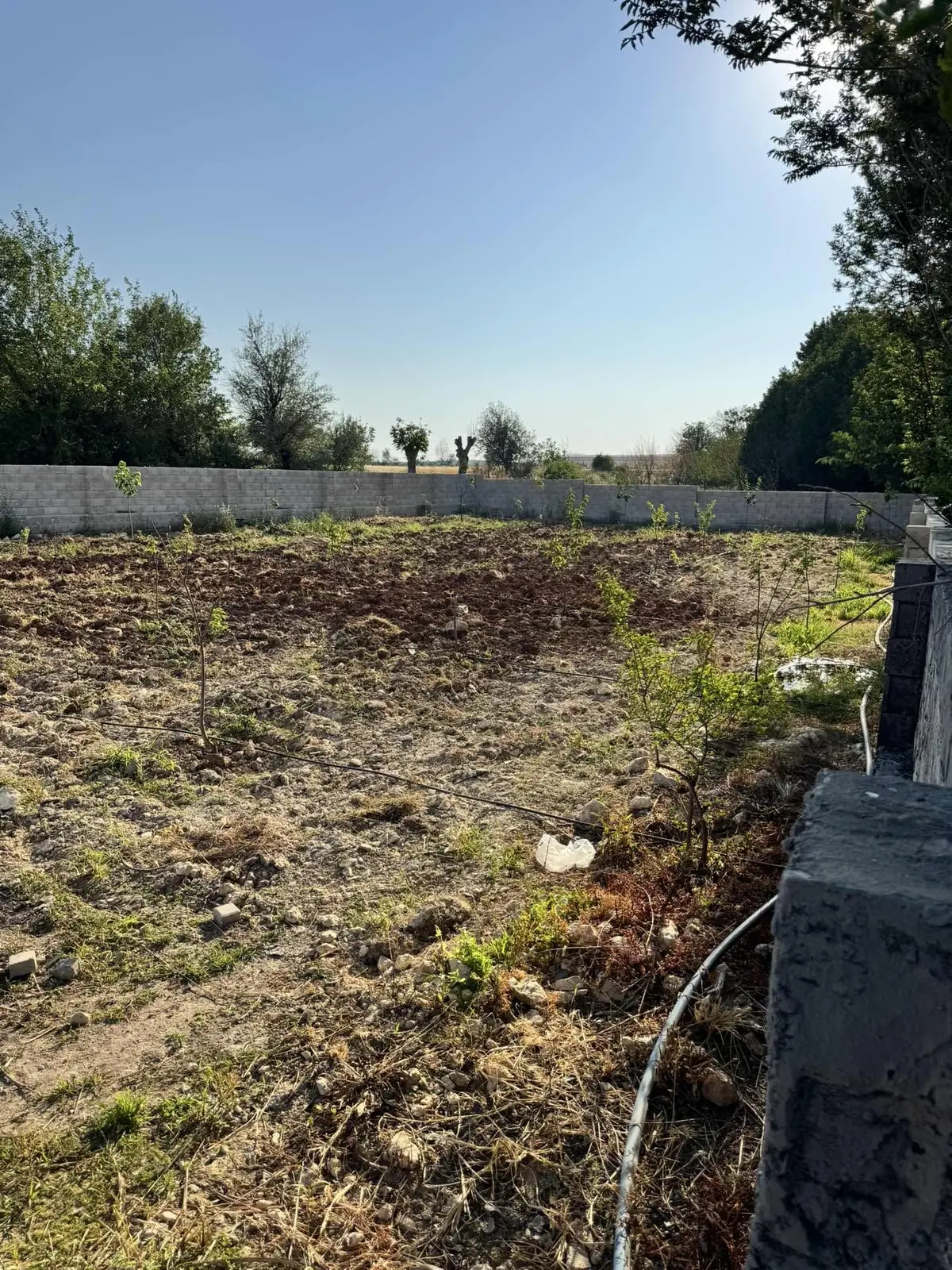 Baron Dan Eşsiz Göletli Bağ Evi 2750 M2 - 34