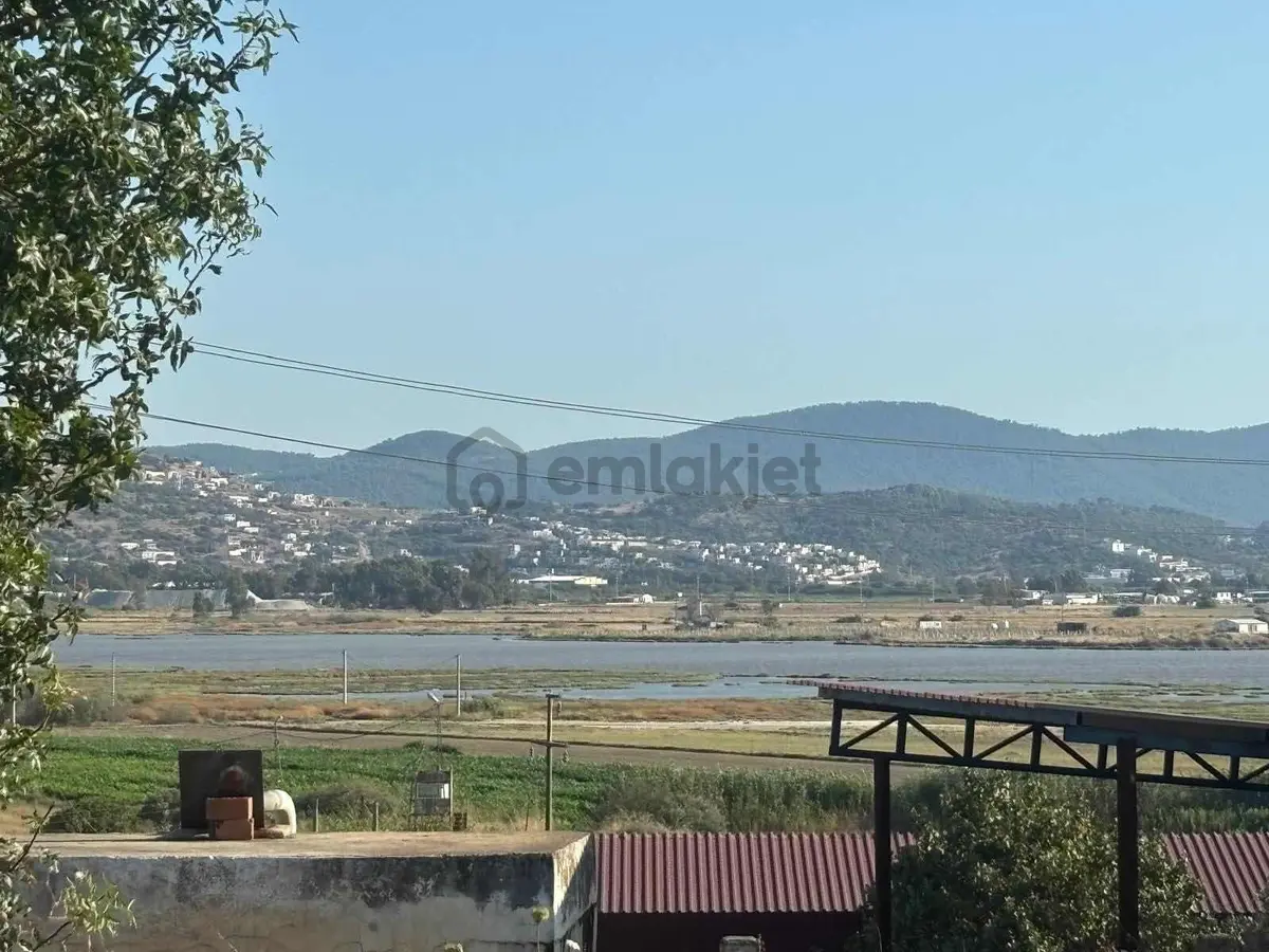 Sattılık Tarla - 12