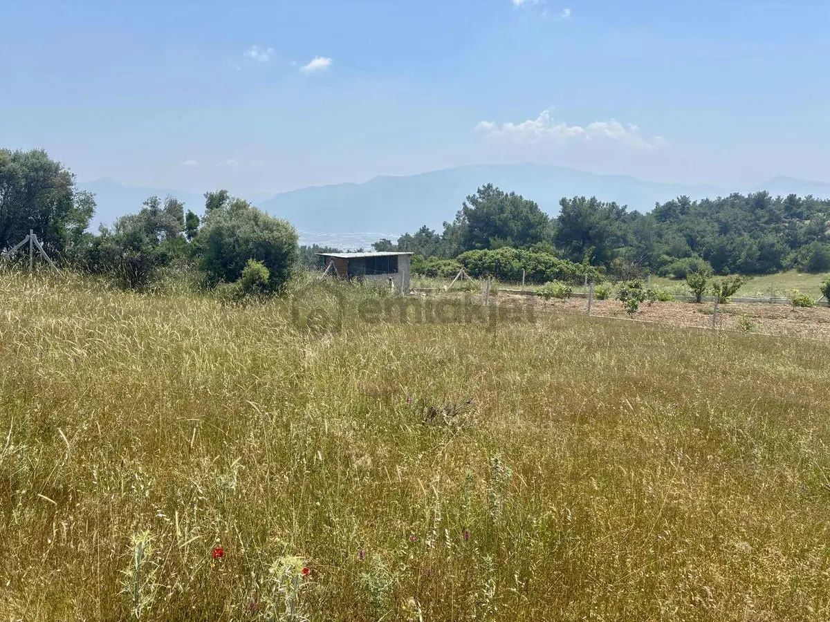 Kemalpaşa Damlacık'ta Satılık Bahçe - 13