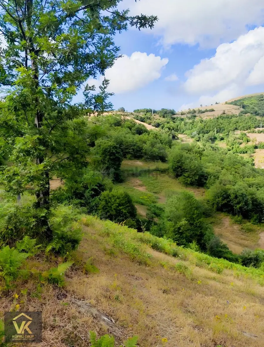 Samsun Alaçam'da Satılık Tarla - 16