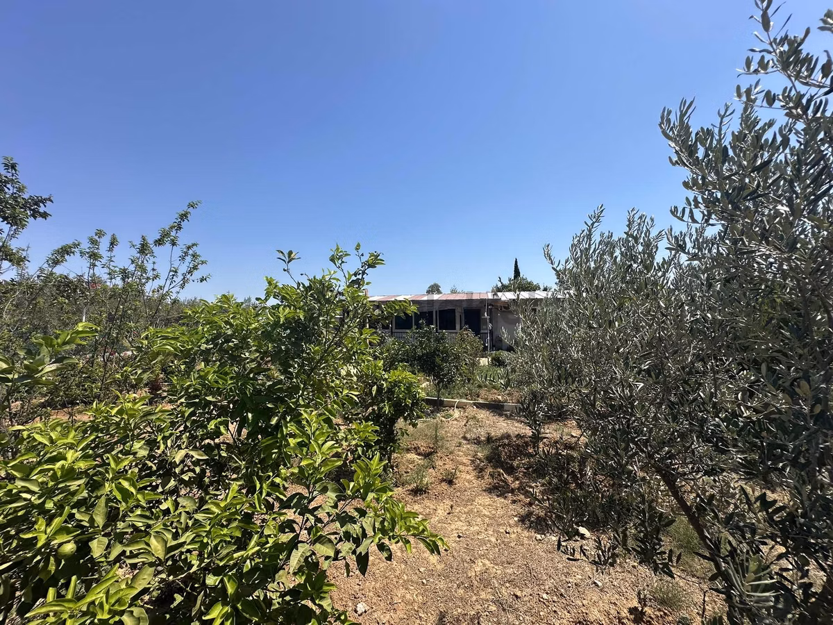Güzelobada Zilyetli 700 M² Alanda 4+1 Müstakil Ev - 22