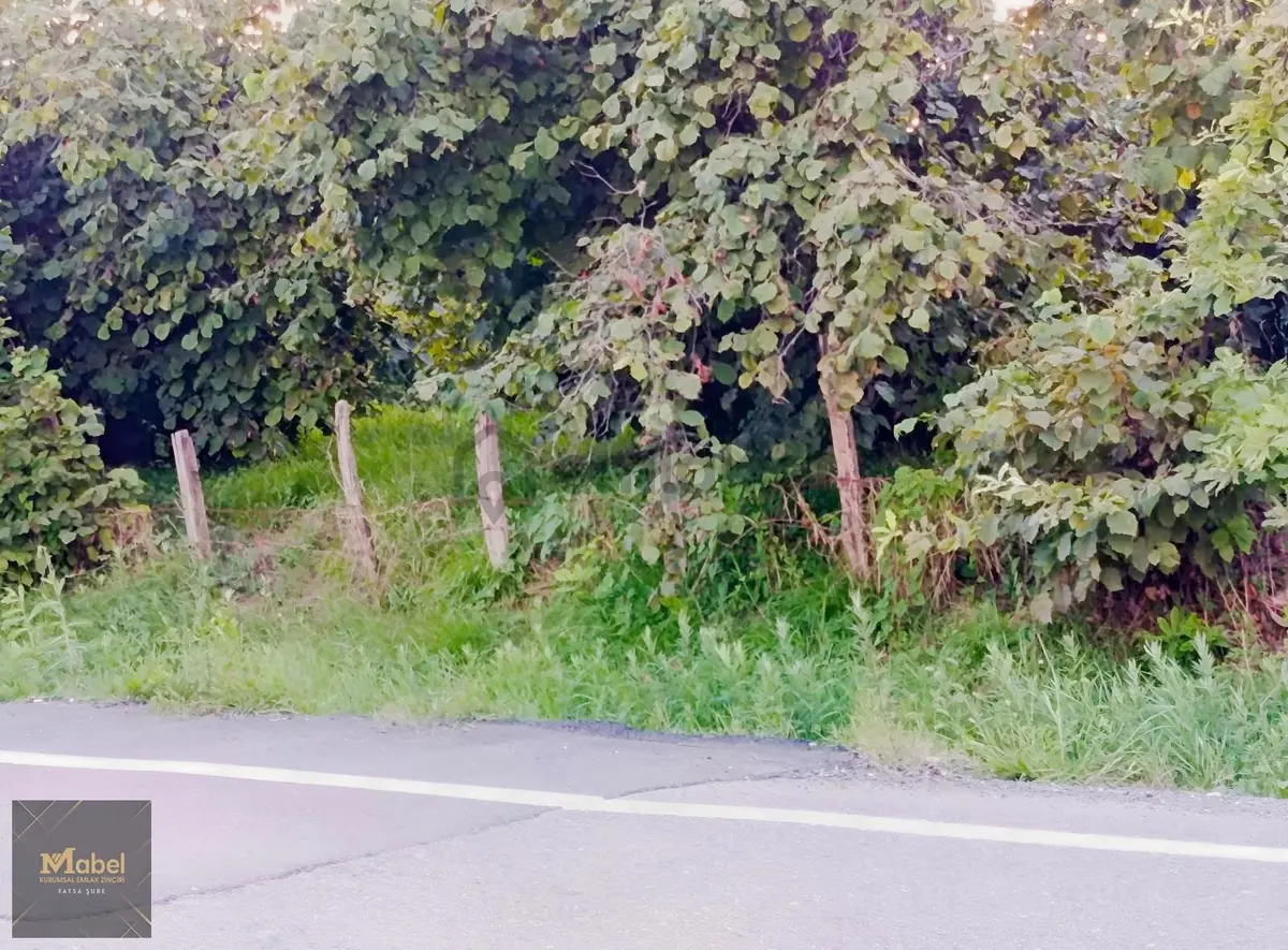 Konakbaşı Mahallesinde Satılık Fındık Bahcesi