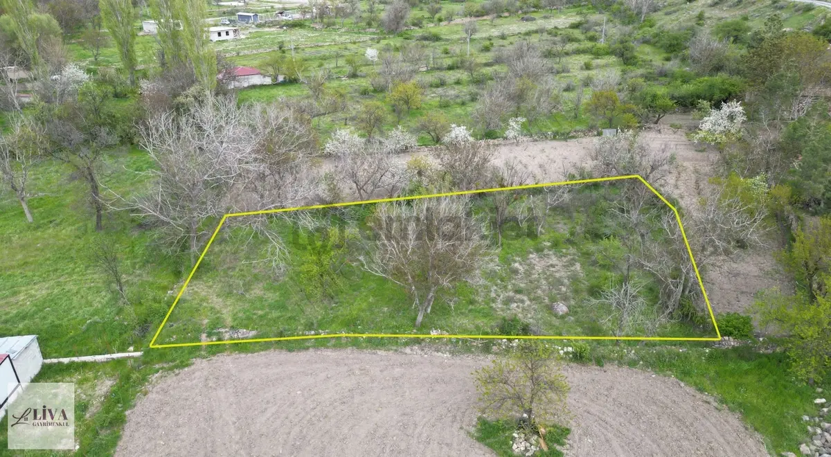 Liva'dan Bağpınar'da 1077 M² Tek Tapu Bahçe - 4
