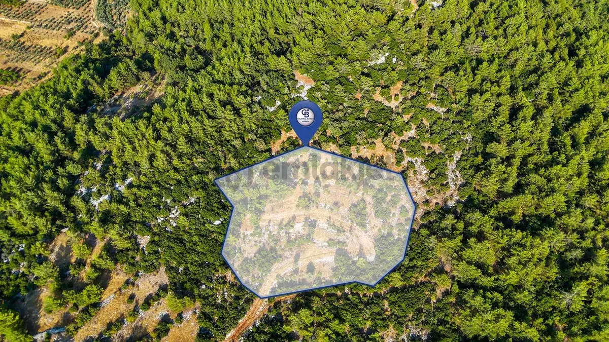 Menteşe Kuyucak'ta Satılık 5.932 M² Tarla