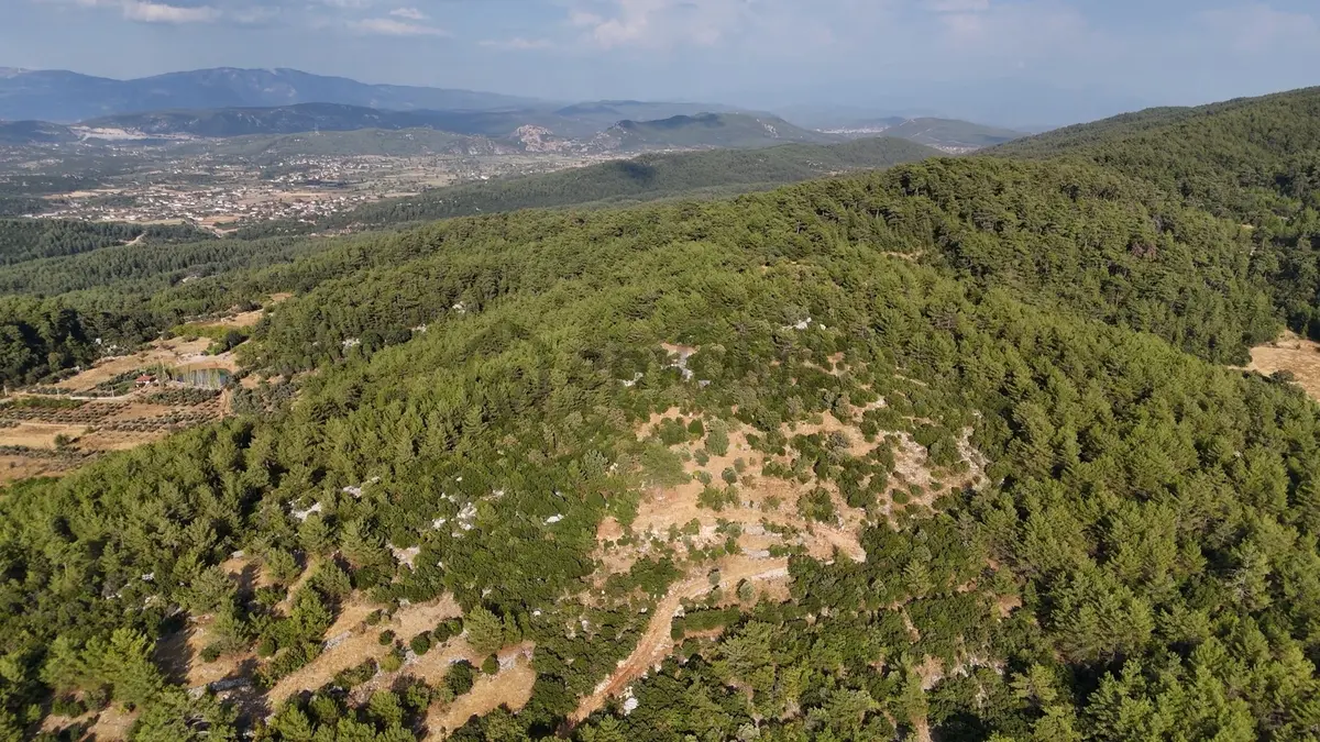 Menteşe Kuyucak'ta Satılık 5.932 M² Tarla - 27