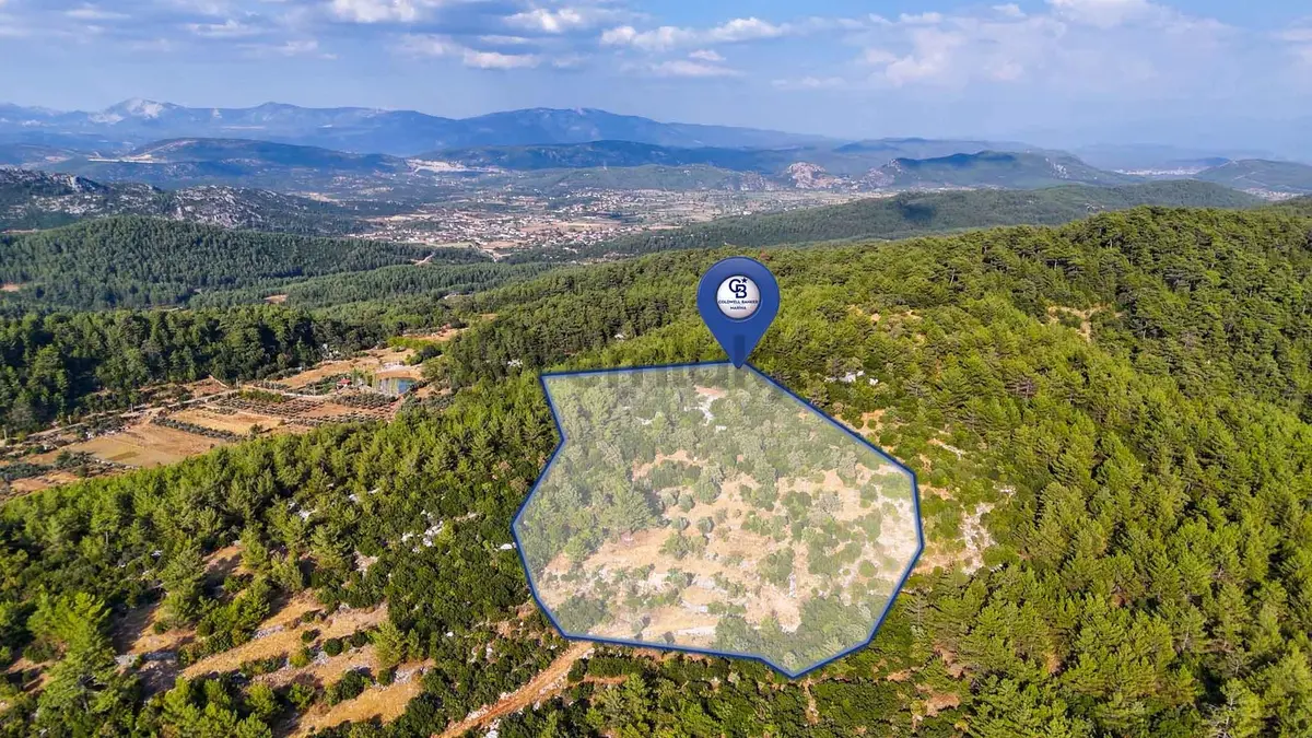 Menteşe Kuyucak'ta Satılık 5.932 M² Tarla - 12