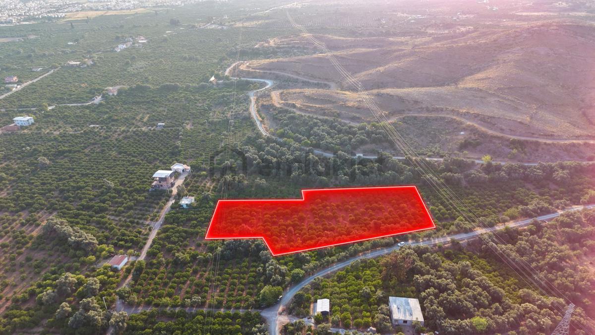 Payamlı 8.829 M2 Zeytin Ağaçlı Tarla - 2