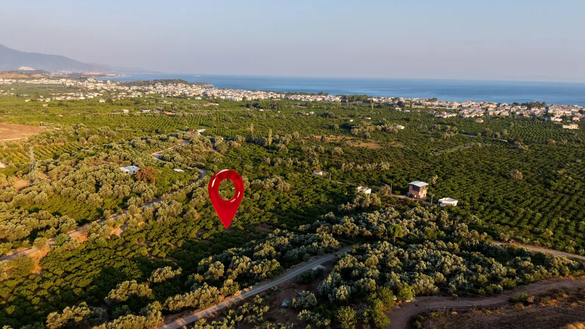 Payamlı 8.829 M2 Zeytin Ağaçlı Tarla - 7