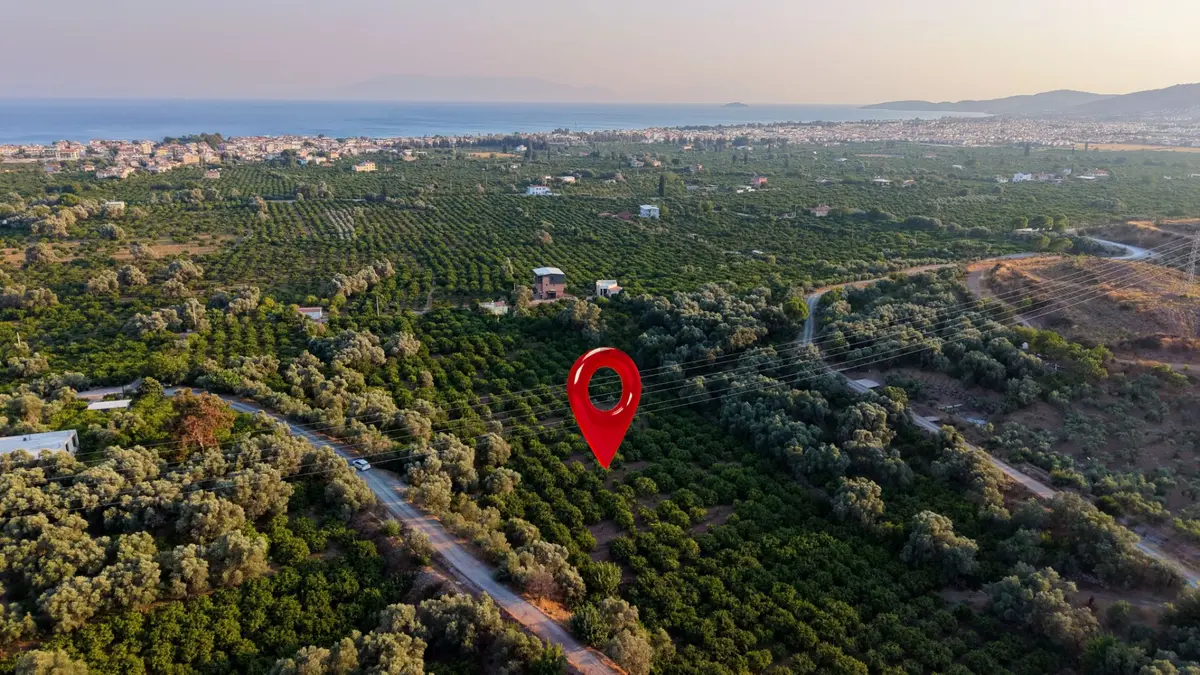 Payamlı 8.829 M2 Zeytin Ağaçlı Tarla - 17