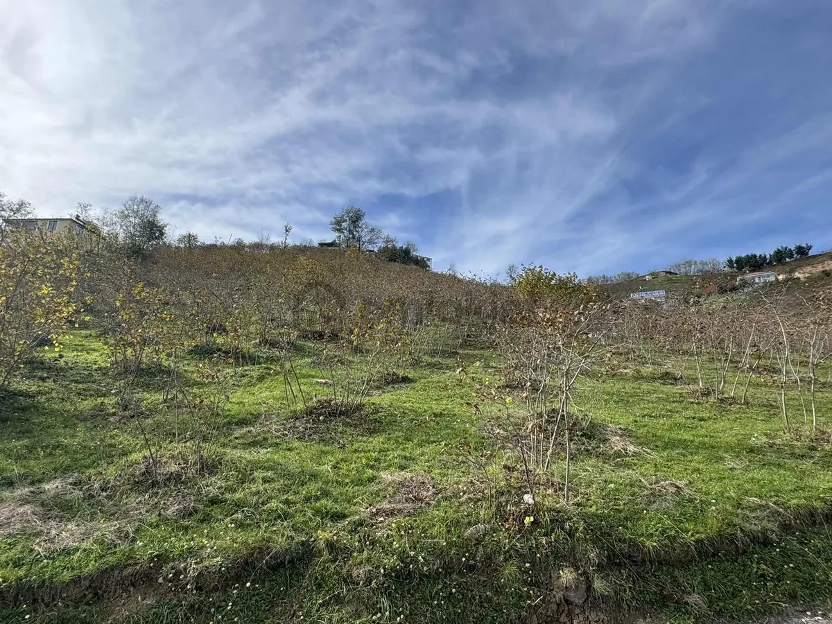 Trabzon Gürbulakta Satılık İmarlı Arsa - 19